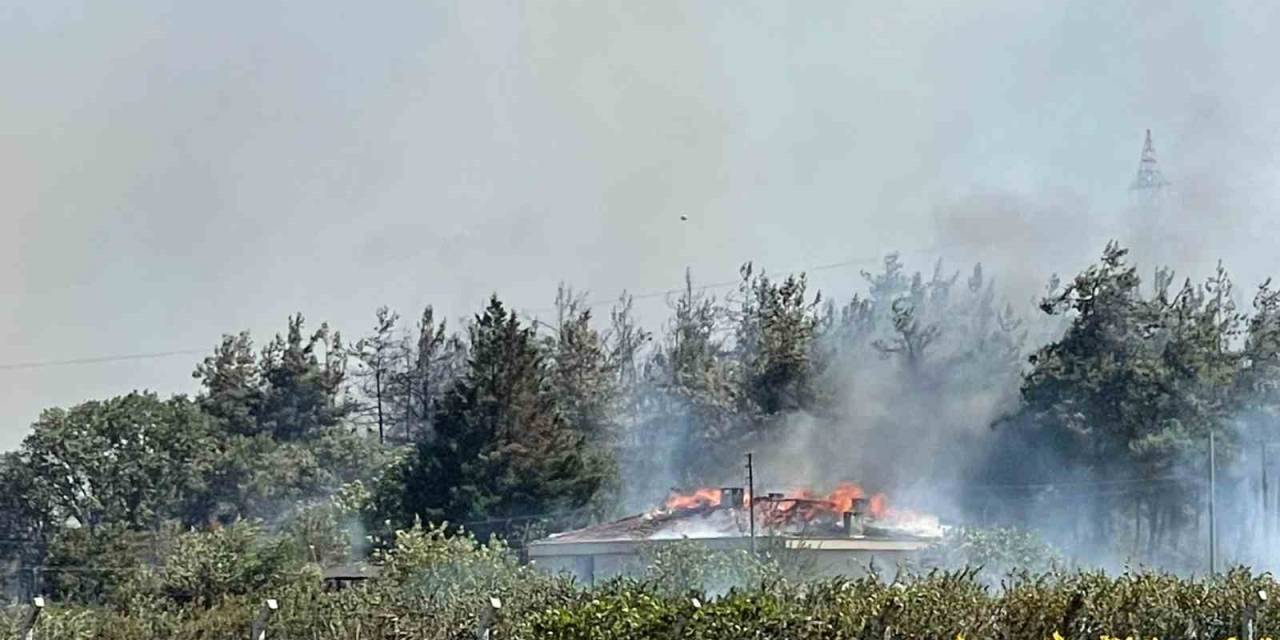 Yangında Uludağ Üniversitesine Ait Tesisin Çatısı Yandı