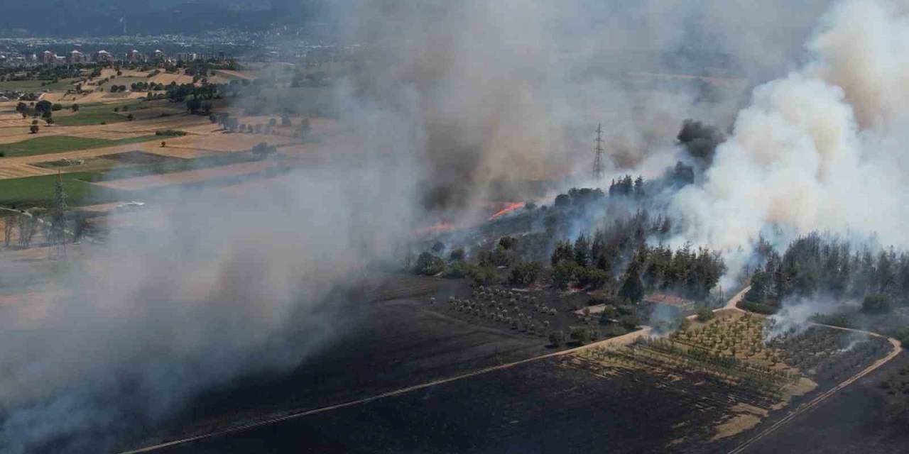 Bursa’daki Yangın Ormana Sıçradı