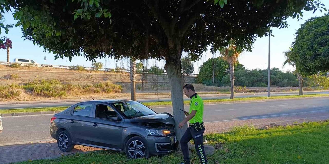 Virajı Alamayan Otomobil Ağaca Çarptı