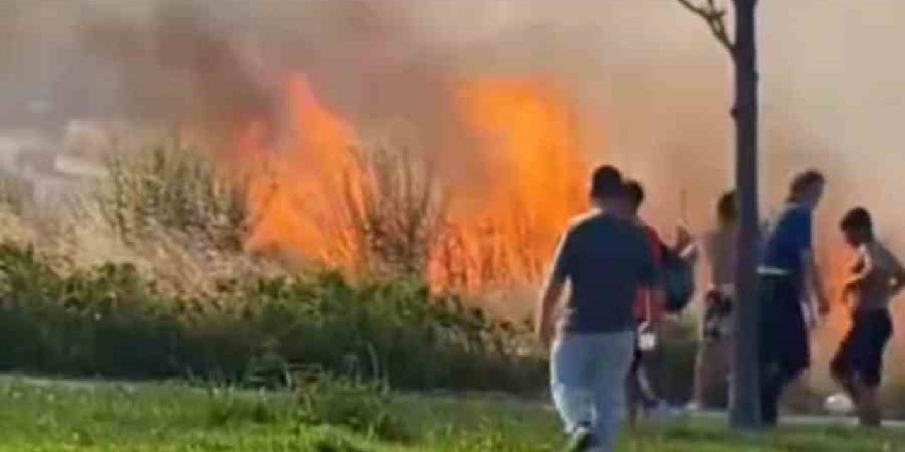 Kartal’da Otluk Alanda Çıkan Yangın Korkuttu