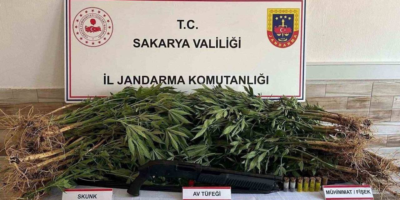 Jandarma Altı Ayda 55 Kilo Uyuşturucu Ele Geçirdi: Bin 165 Şüpheliye İşlem Yapıldı