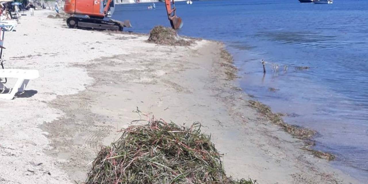 Erdek’te Deniz Çayırı Katliamı