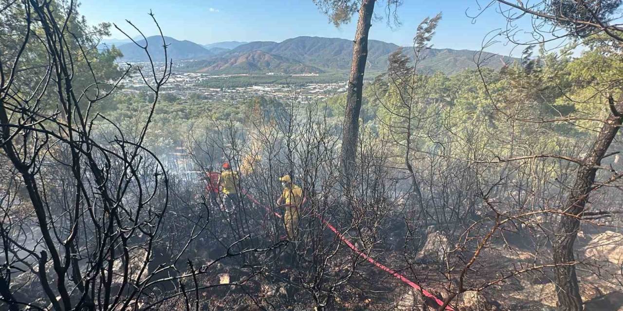 Fethiye’de Zeytinlik Alanda Çıkan Yangın Kontrol Altına Alındı