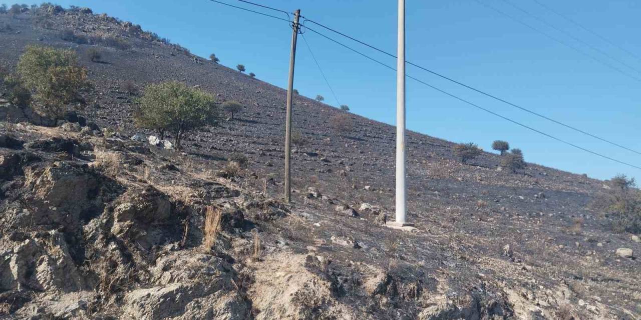 Karpuzlu’daki Makilik Yangın Kontrol Altına Alındı