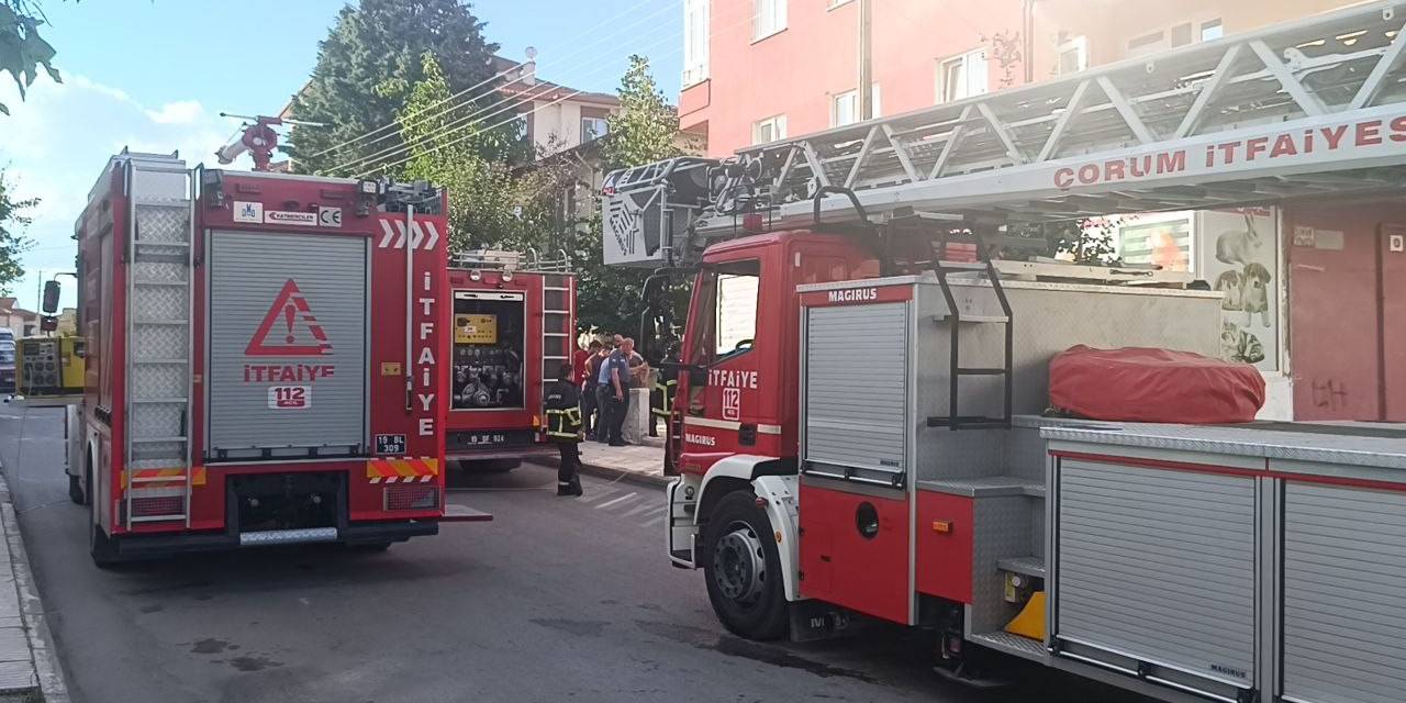 Çorum’da Petshop Mağazasında Çıkan Yangın Korkuttu