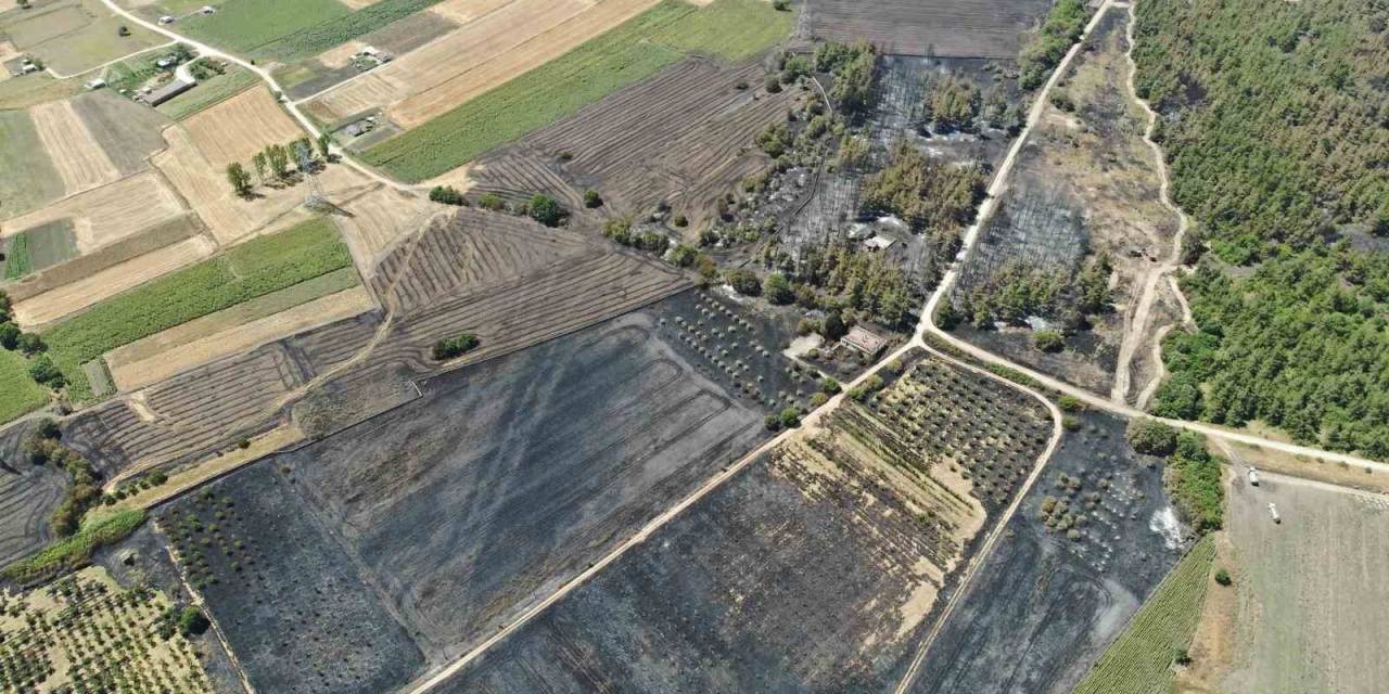 Başkan Bozbey’den Ağaçlandırma Çağrısı