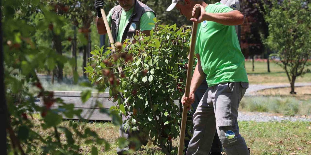 Sakarya Büyükşehir Belediyesi’nden Şehre Estetik Dokunuş