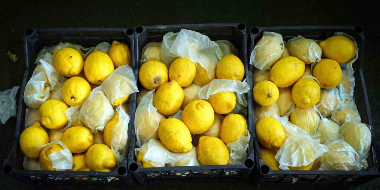 İstanbul’da Limonun Tanesi 10 Tl’ye Dayandı, Ağustos’tan İtibaren Gerileme Bekleniyor