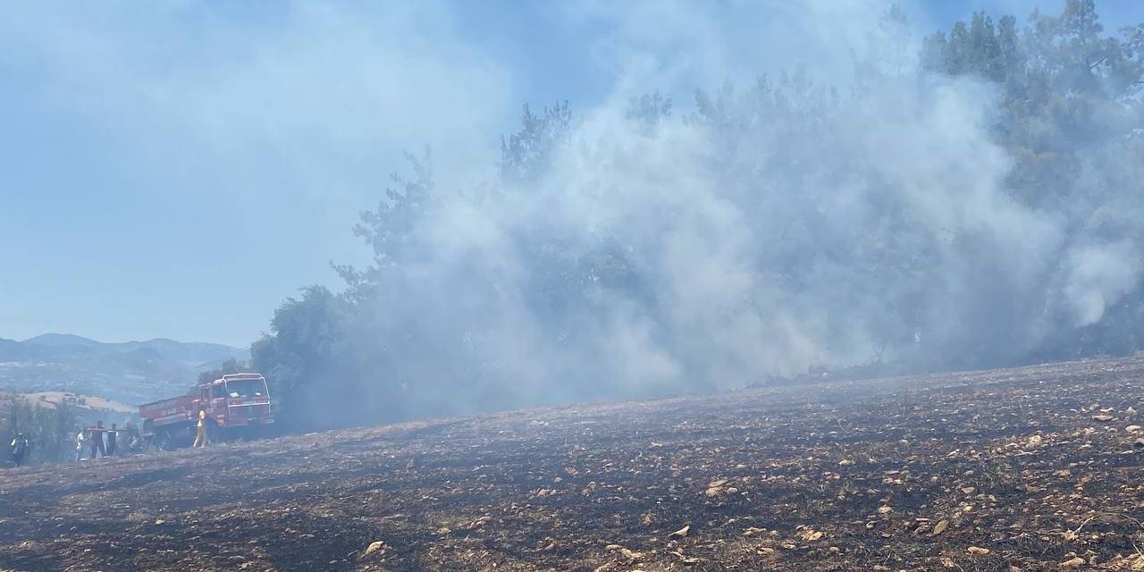 Adana’da Orman Yangını Kontrol Altına Alındı