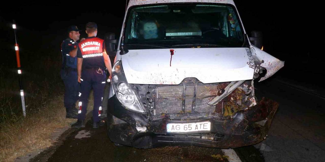 Kamyonetin Koyun Sürüsüne Çarpma Anı Kamerada: 16 Koyun Telef Oldu