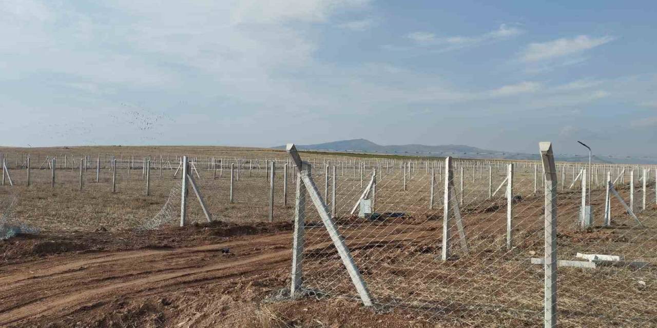 Tarım Arazilerini Aykırı Kullananlara Ceza Yağdı