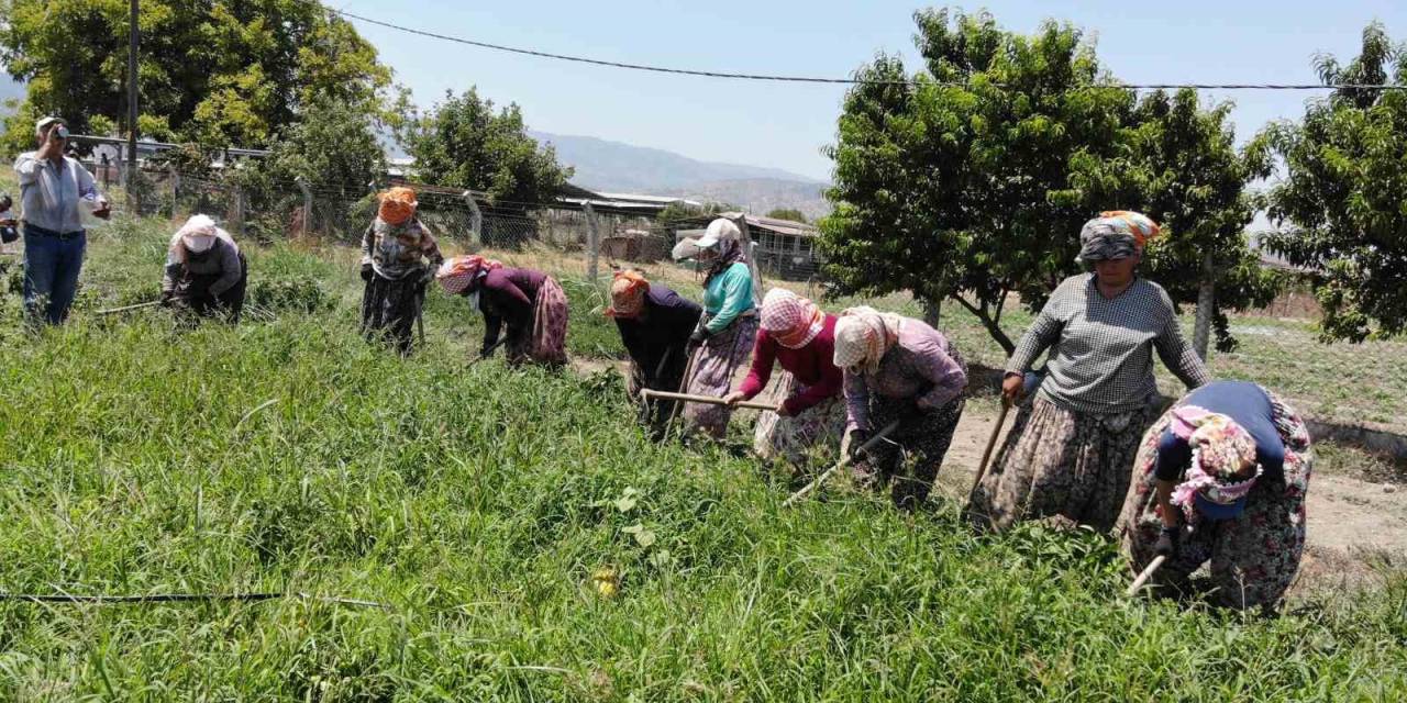 Sıcaklar Egeli Kadınları Yıldırmıyor