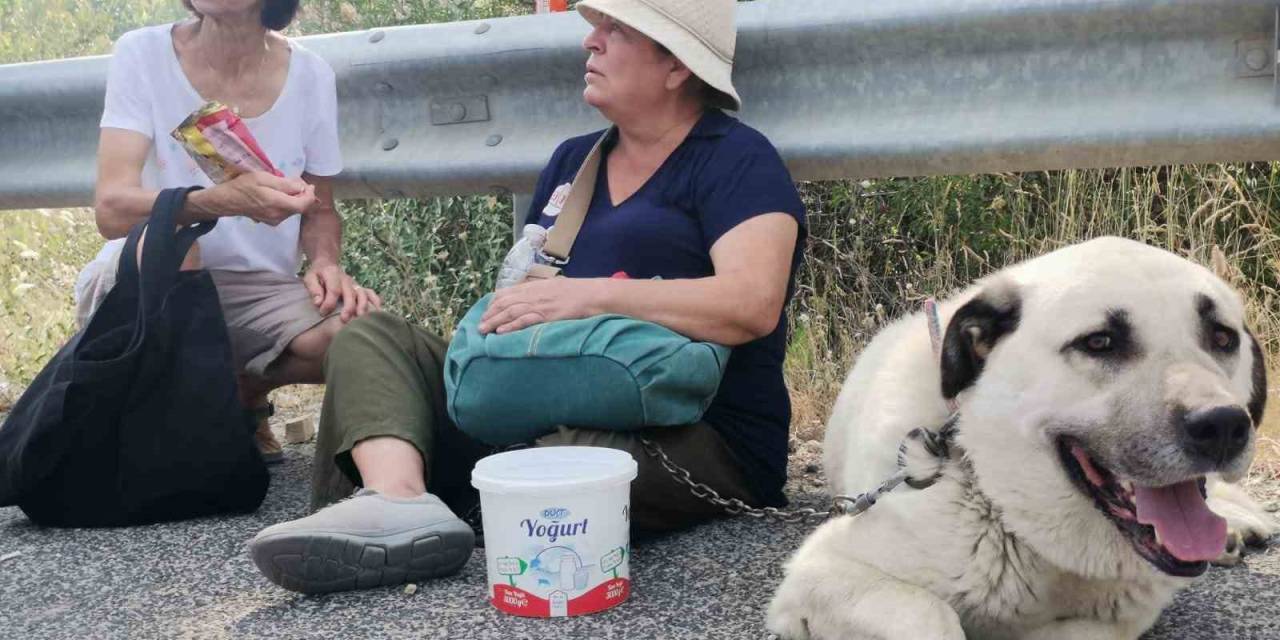 Alevler Evinin Bahçesine Kadar Geldi, Gözyaşlarına Hakim Olamadı