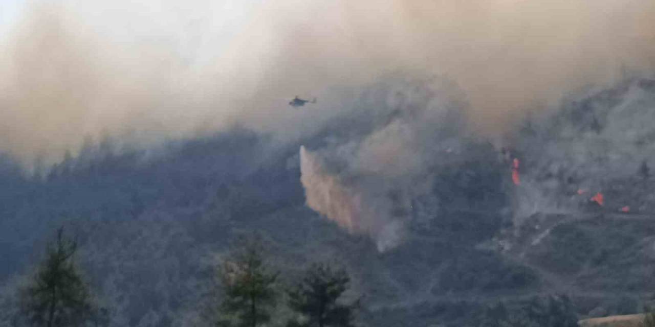 İzmir Valisi Elban: "Yangında 7 Ev Hasar Gördü"