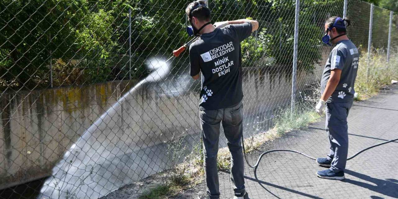 Üsküdar Belediyesi Tarafından Vektörlerle Mücadele Devam Ediyor