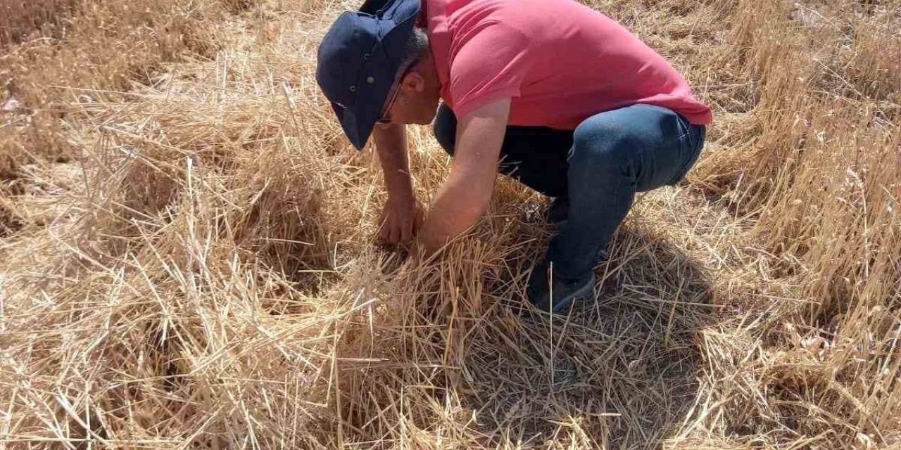 Niğde’de Çiftçilere Uyarı