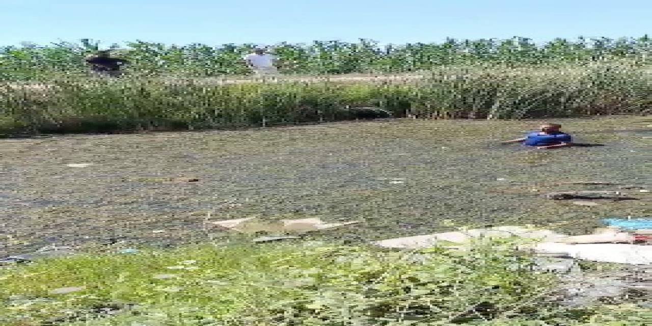 Jandarmadan Kaçmak İçin Bataklığa Saklandı, Kaçamadı