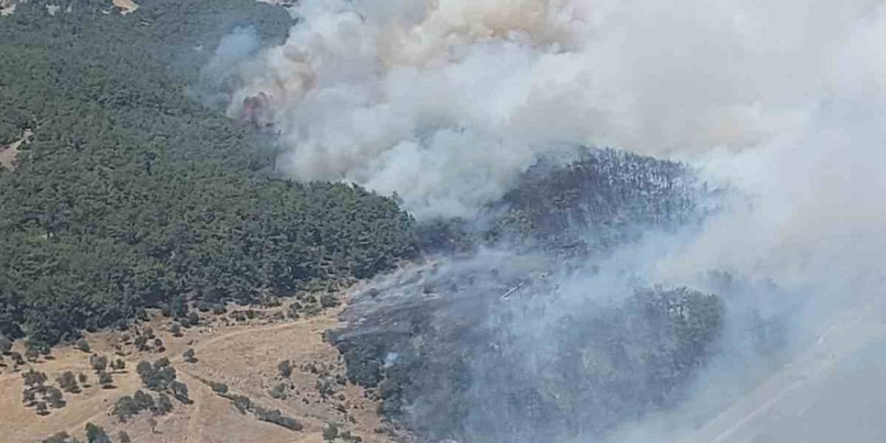İzmir’de Orman Yangını: Sabuncubeli Tünelleri Trafiğe Kapandı