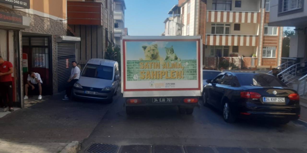 Ataşehir’de İett Şoförü Otobüse Çarpan Martıyı Böyle Kurtardı