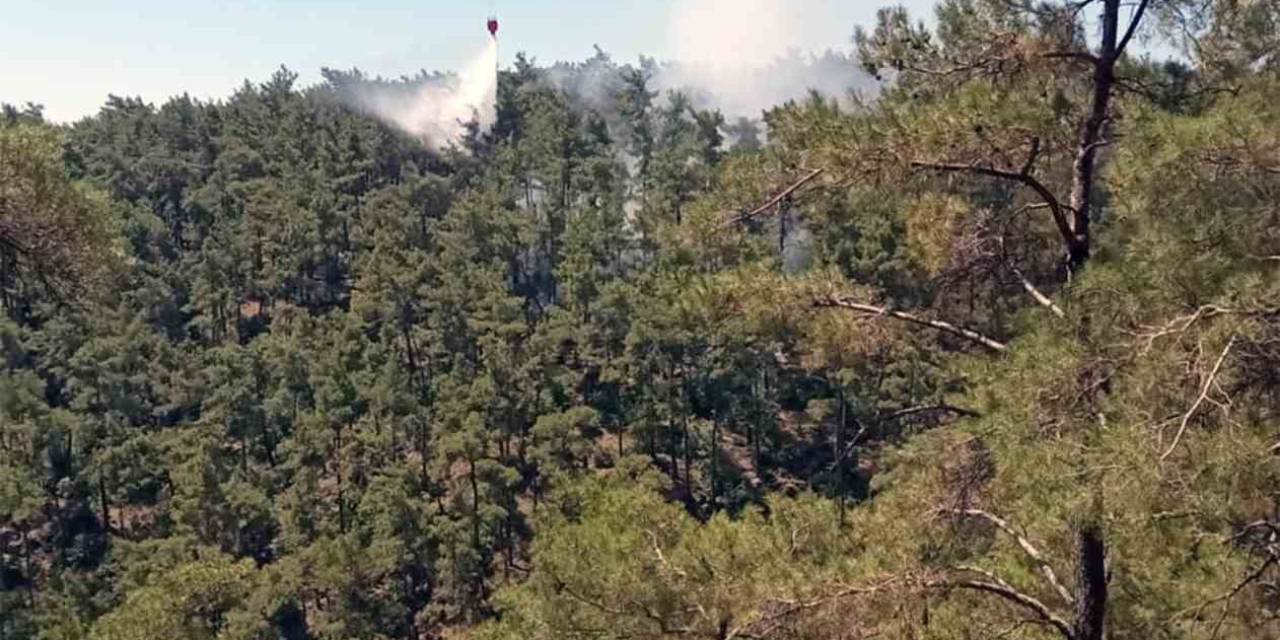 Orman Yangını Büyümeden Söndürüldü