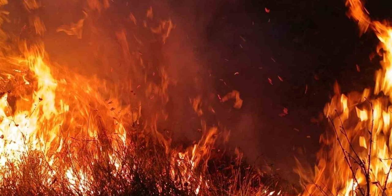 Tunceli’de Otluk Ve Ağaçlık Alanda Yangın