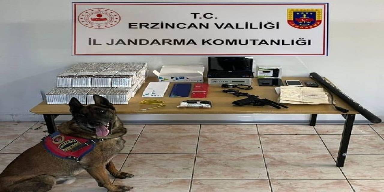 Erzincan Jandarma Suç Olaylarına Geçit Vermiyor