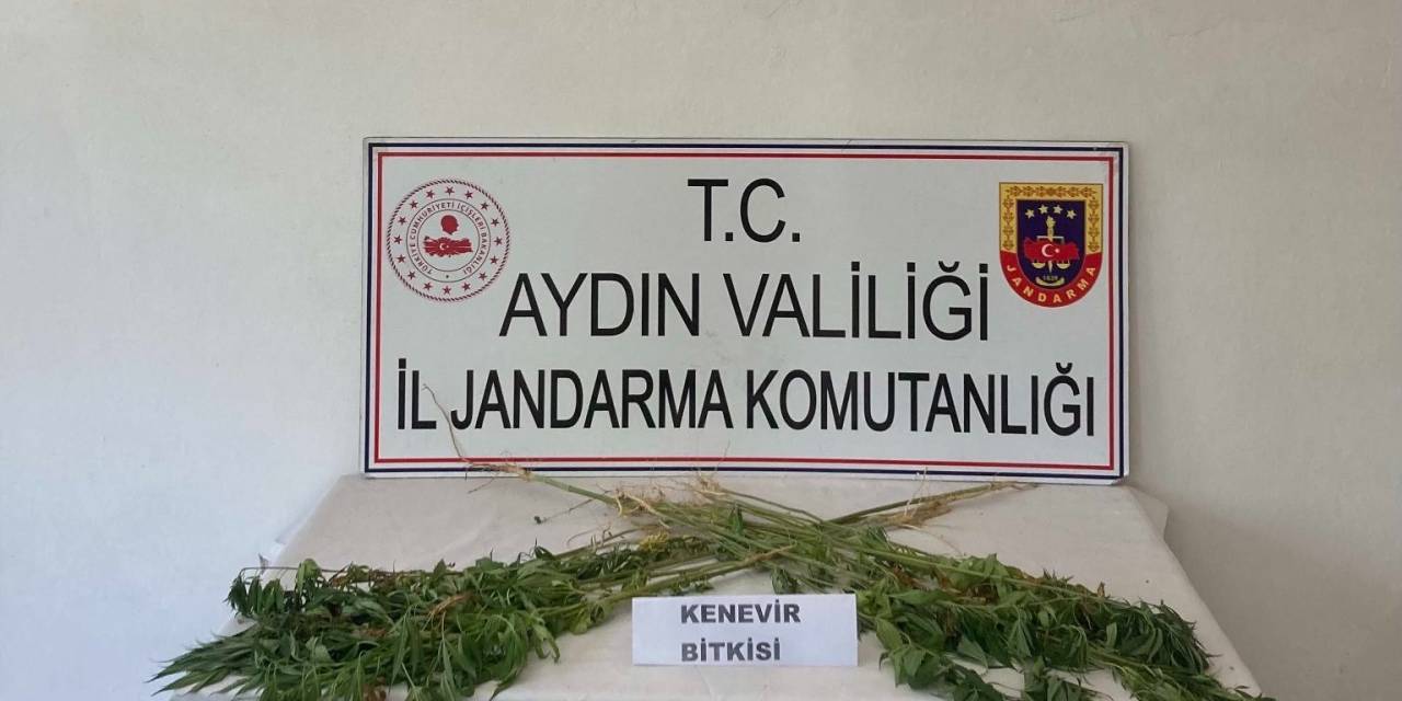 Aydın’da Jandarma Ekipleri Uyuşturucuya Geçit Vermiyor