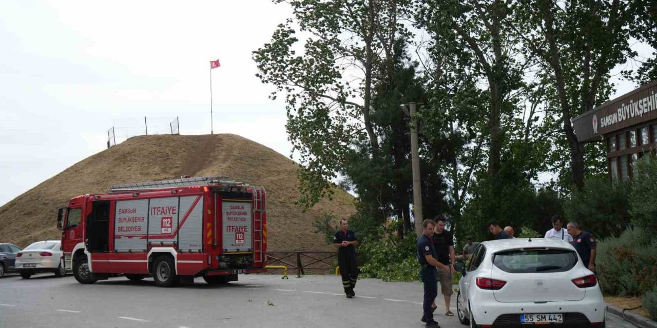 Fırtına Ağacı Kökünden Söktü: 1 Otomobil Zarar Gördü