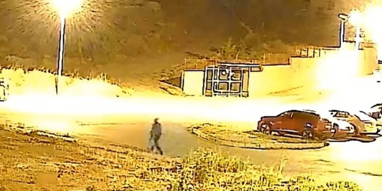 Bu Da Oldu: Ağacı Sökerek Çaldılar