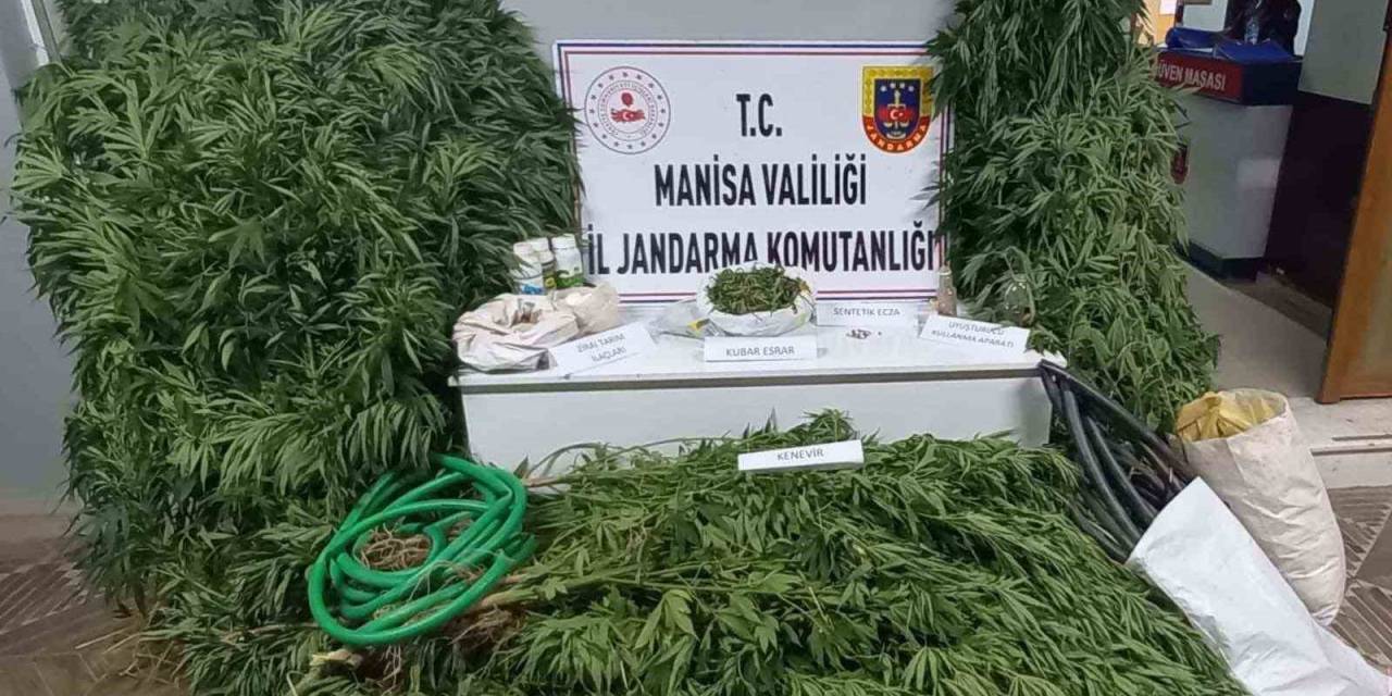 Cezaevi Firarisi Kenevir Sularken Suçüstü Yakalandı