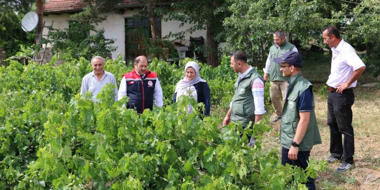 Üzümlü’ De Dolu Zarar Verdi