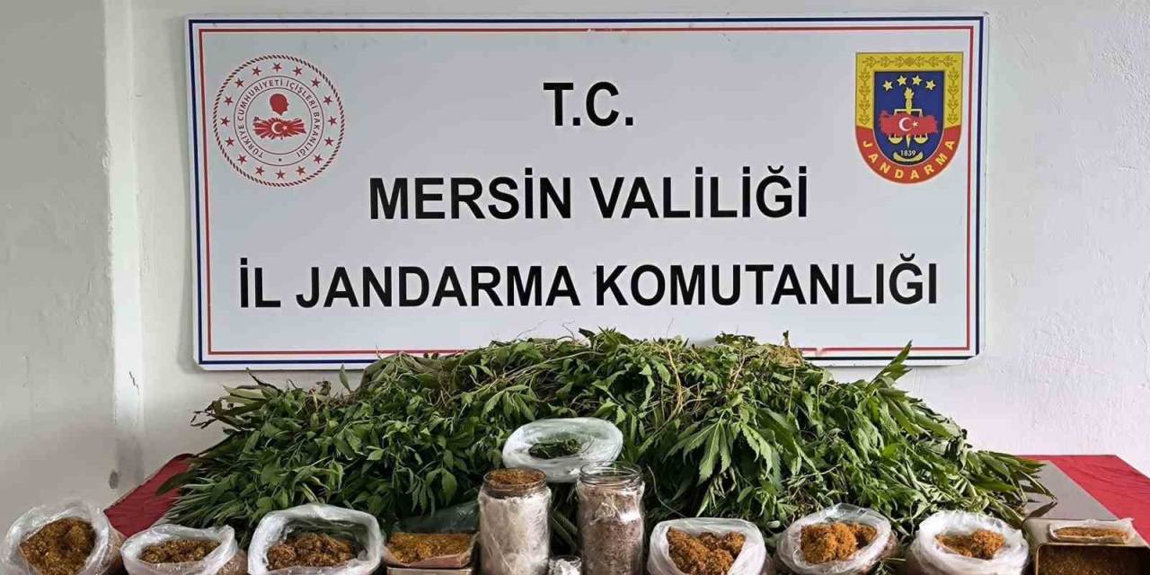 Mersin’de Uyuşturucu Operasyonu: 1 Gözaltı