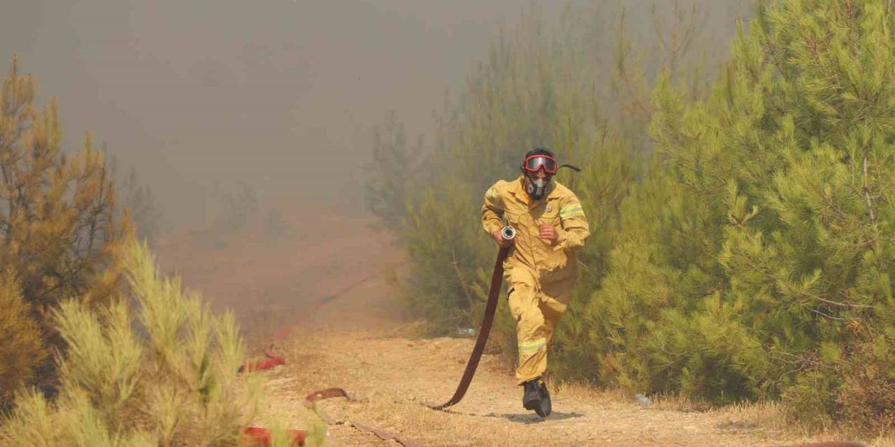 Bodrum’daki Orman Yangınında Söndürme Çalışmaları 7. Saate Girdi