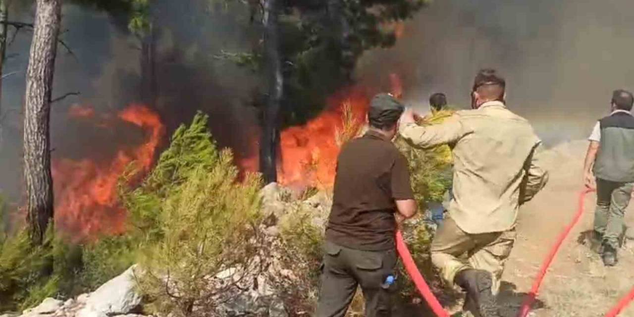 Bodrum’da ’ateş Savaşçıları’ Alevlerle Göğüs Göğüse Mücadele Ediyor