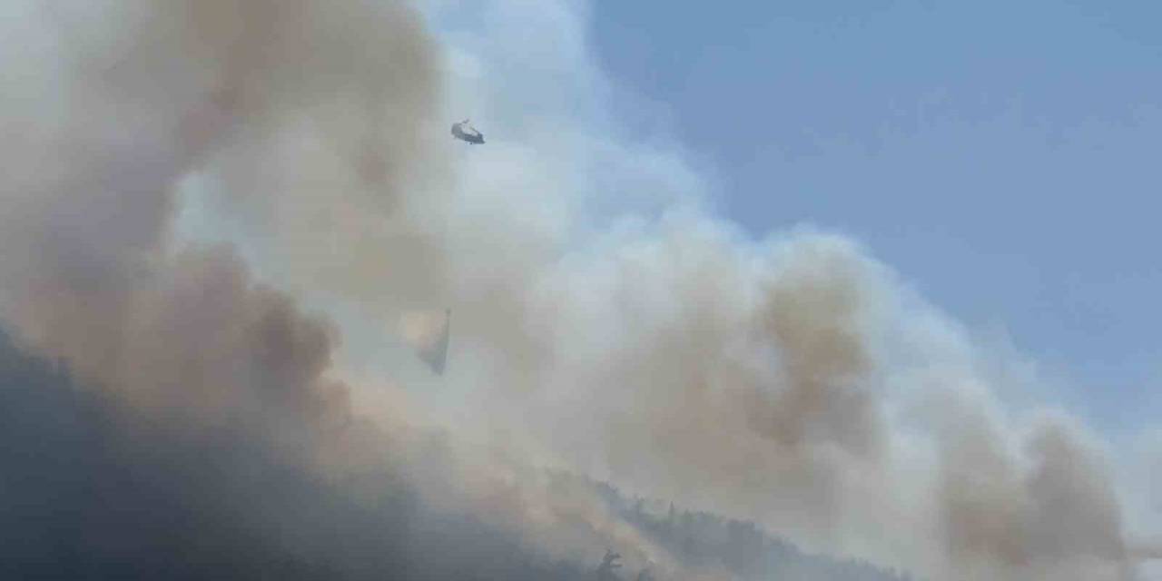 Rüzgarın Etkili Olduğu Orman Yangınında Ekip Sayıları Artırıldı
