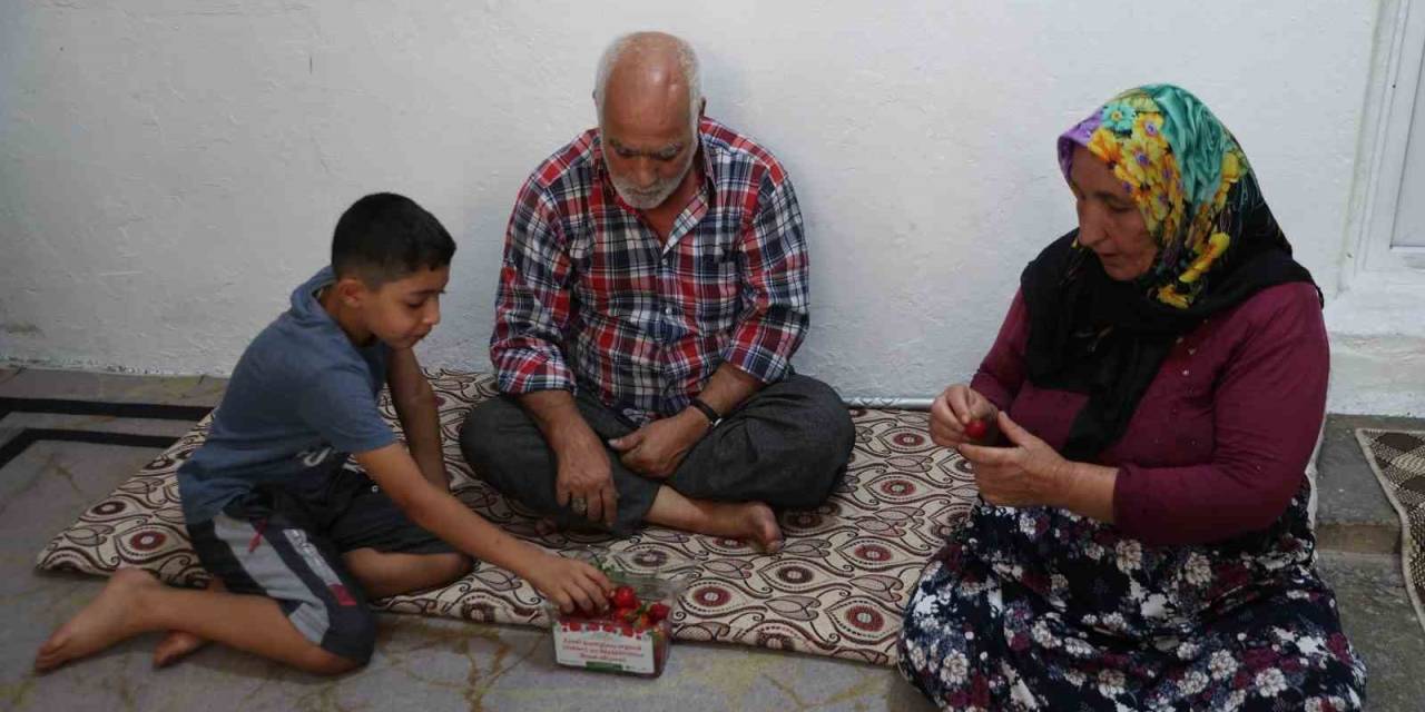 Seranın Ürünleri Yaşlılara Dağıtıldı