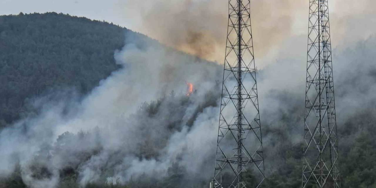 Orman Yangınını Söndürme Çalışmaları Karadan Sürüyor