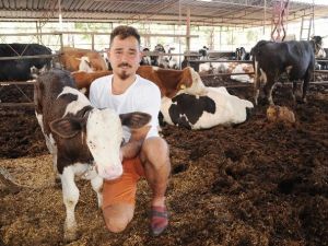 Üretici "Kdv İndirimi" Bekliyor