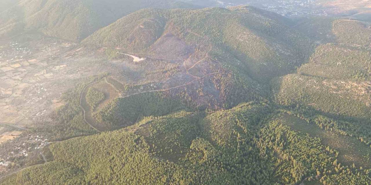Bodrum’da Orman Yangına 18 Saat Sonra Kontrol Altına Alındı