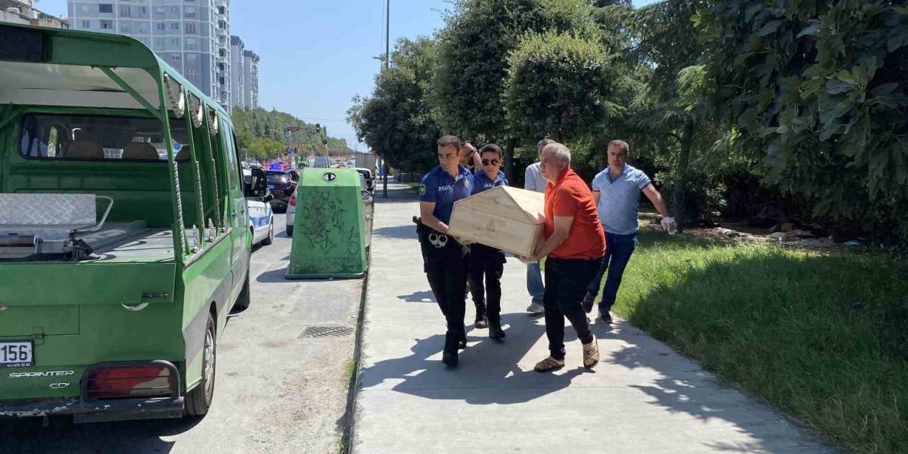 Küçükçekmece’de Ağaçlık Alanda Ceset Bulundu