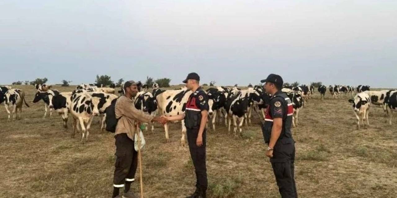 Jandarma Ekipleri, Kaybolan Hayvanları Dron İle Bularak Sahibine Teslim Etti