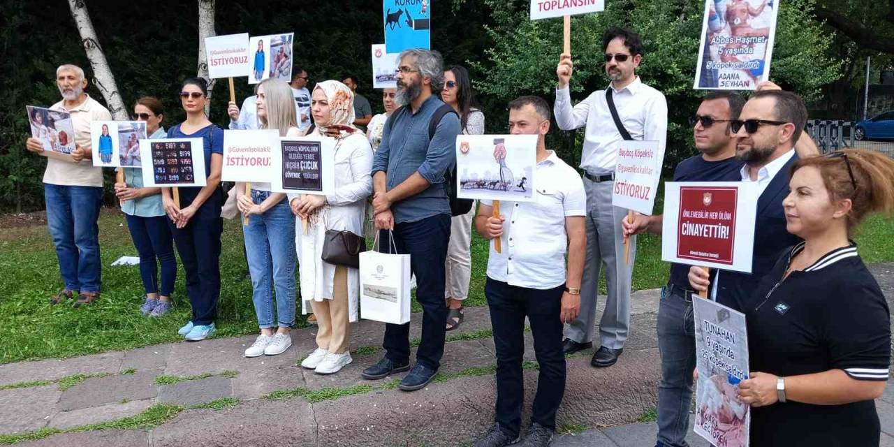 Sivil Toplum Kuruşlarından Sahipsiz Sokak Hayvanları İle İlgili Hazırlanan Yasa Tasarısına Destek