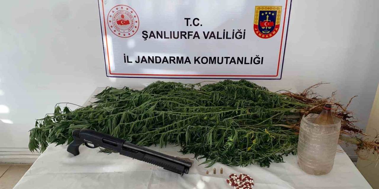 Siverek’te Uyuşturucu Operasyonu: 2 Gözaltı