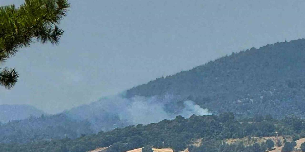 Dursunbey’de Arazide Çıkan Yangın Ormana Sıçradı