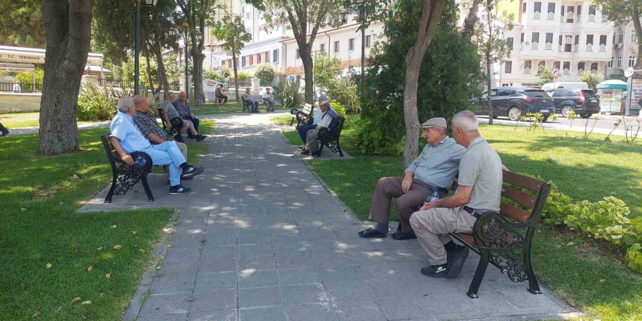 Tekirdağ’da Kavurucu Sıcaklar: Gölgeye Akın Ettiler