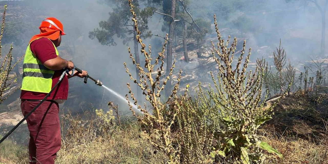 Kavaklıdere’de Orman Yangını Kontrol Altına Alındı