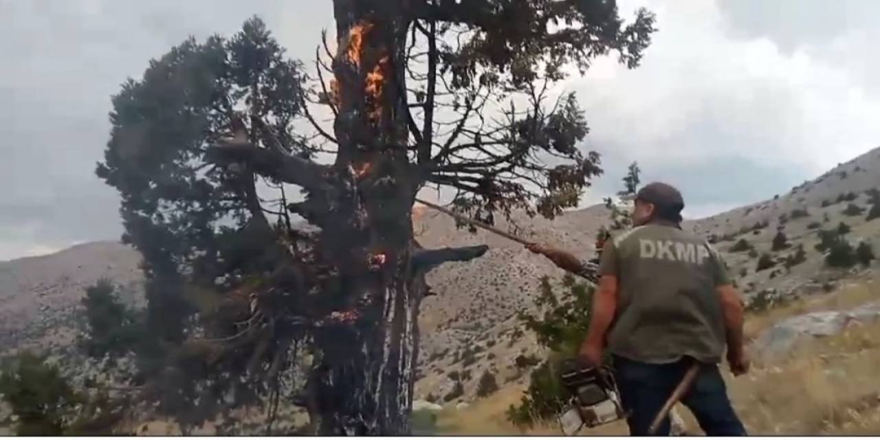 Yıldırım İsabet Etmesi Sonucu Alev Alan Ağaç Söndürüldü