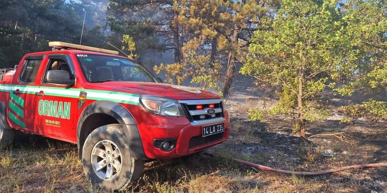 Bolu’da Çıkan Orman Yangını Büyümeden Söndürüldü
