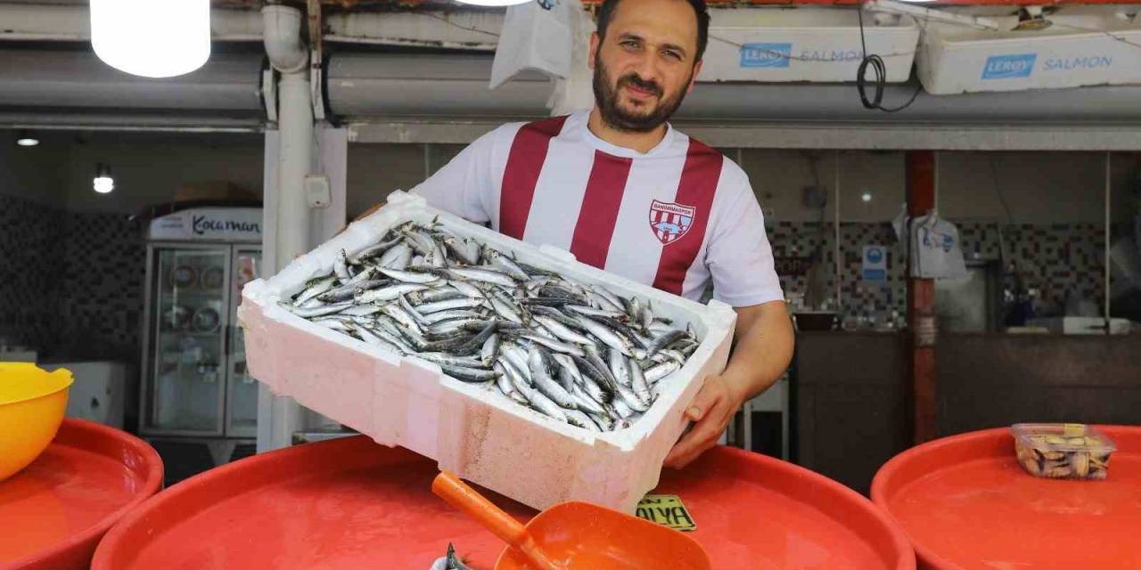 Bandırma’da Sardalya Bolluğu Yaşanıyor