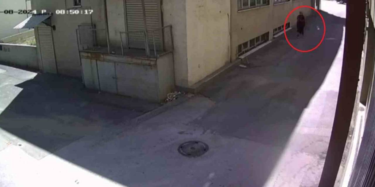 ‘Fal Bakıyorum’ Diye Vatandaşları Dolandıran Kadın Kamerada